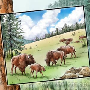 Bison in the Pines by Marjorie Leggitt
