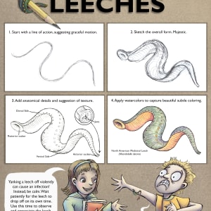 How To Draw Leeches by Haley Grunloh