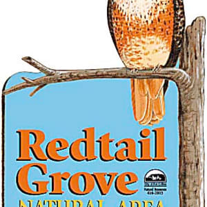 Redtail Grove by R. Gary Raham
