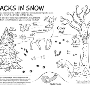 Tracks in Winter coloring page by Sara Cramb