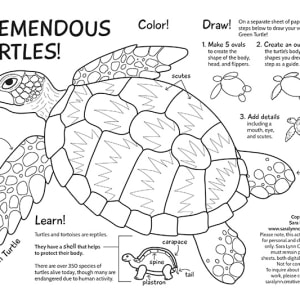 Tremendous Turtles Activity Page by Sara Cramb
