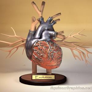 Hybrid artificial heart by Dr Jon Heras, Image 1.