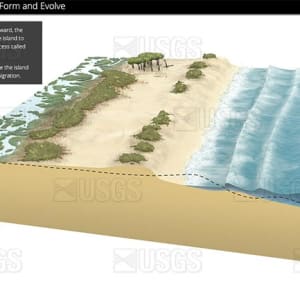 Cross-shore barrier island formation, panel 4 by Betsy Boynton