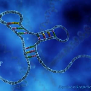 RNA interferase by Dr Jon Heras