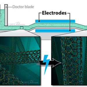 Tapecasting nanotube alignment by Veronica Falconieri Hays