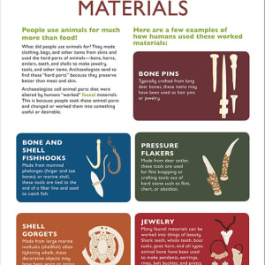 UGA Jr archaeologist faunal materials by Sara Cramb