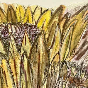 BeHold by Susan Detroy