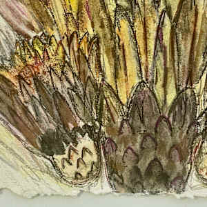 BeHold by Susan Detroy