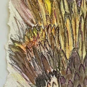 BeHold by Susan Detroy