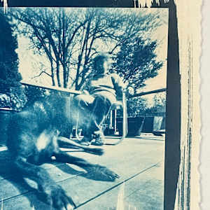 Blue Dog by Susan Detroy