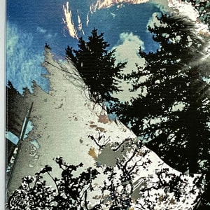 Silhouette by Susan Detroy  Image: Detail