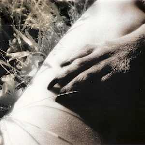 Paw and Leg by Susan Detroy
