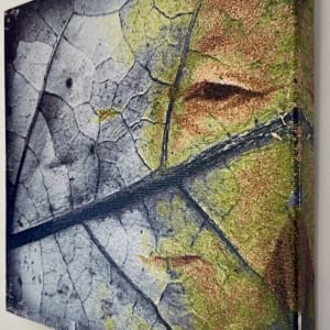 Leaf Life by Susan Detroy  Image: Side Detail