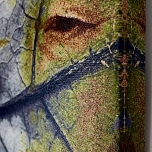 Leaf Life by Susan Detroy  Image: Close up Detail