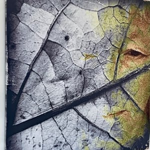 Leaf Life by Susan Detroy  Image: Side View