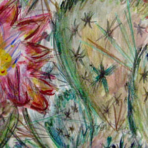 Cactus Alive by Susan Detroy 