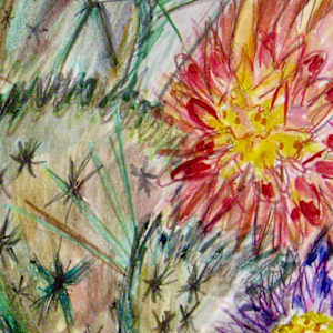 Cactus Alive by Susan Detroy 