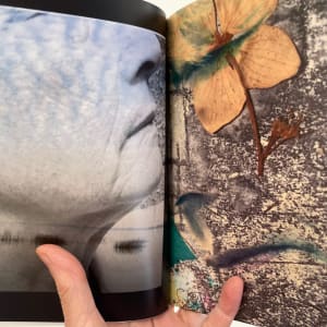 Portrait of a Woman: Beyond Imagination by Susan Detroy 