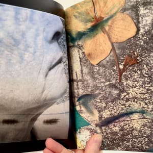 Portrait of a Woman: Beyond Imagination by Susan Detroy 