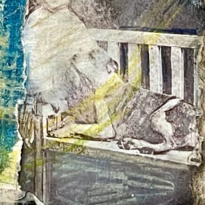 Girls and Dogs 