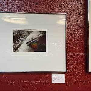 Paw and Leg by Susan Detroy  Image: Showing at The Hybrid 