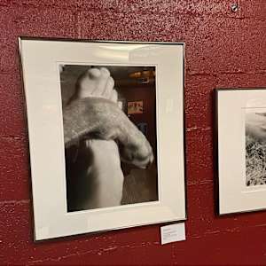 Foot and Paw by Susan Detroy  Image: Shown at The Hybrid 