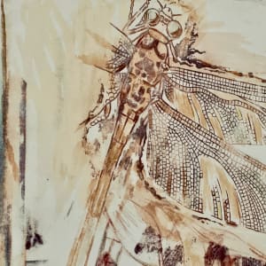 Upward by Susan Detroy  Image: Dragonfly Details 