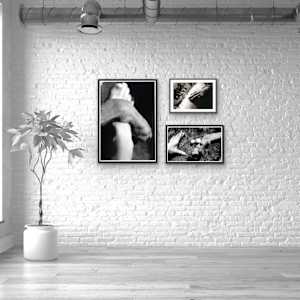 Foot and Paw by Susan Detroy  Image: Set up with other Isabel series pieces 