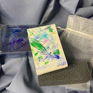 Dragons - Fly by Susan Detroy  Image: The book, carry bag and traveling case 