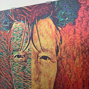 Twin by Susan Detroy
