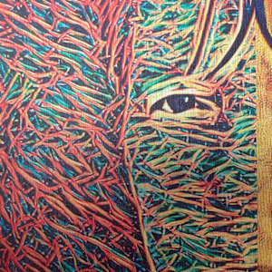 Twin by Susan Detroy  Image: “Twin” is one creation in my expansive project that emerged from my personal journey in aging. “Portrait of a Woman” began in 2016 as I continue creating pieces. 
As the largest undertaking in my art career it is an extensive venture encompassing artworks in multiple media.  The origin of the project grew from my personal journey in aging, using my own face. Pieces incorporate my face with natural elements. After six years now the pieces in this collection include canvas, metal and paper prints as well as a few small experimentations.