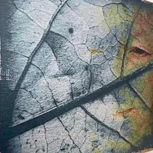 Leaf Life - Metal Print by Susan Detroy