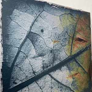 Leaf Life - Metal Print by Susan Detroy