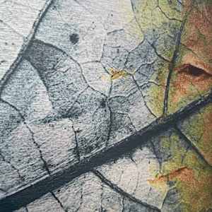 Leaf Life - Metal Print by Susan Detroy