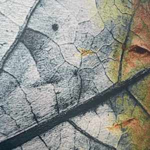 Leaf Life - Metal Print by Susan Detroy