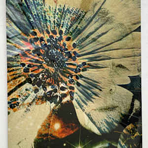 Celestial (Sold) by Susan Detroy 