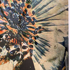 Celestial (Sold) by Susan Detroy 