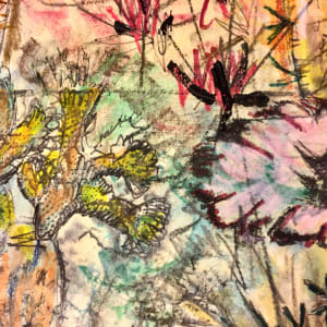 Dreaming Wild by Susan Detroy
