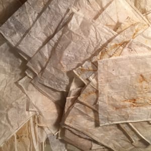 Blue.Period.:Evolution by Susan Detroy  Image: Gathering and prepping teabag papers. 