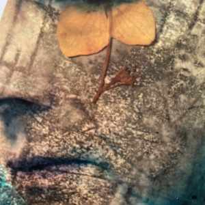 Memories of Another Childhood by Susan Detroy 