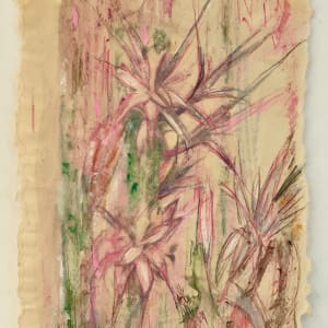 Cactus Pink by Susan Detroy  Image: “Cactus Pink” is special in its use of rice paper for the image transfers. Using cactus flowers the image is airy and light with pink as the predominant color. Like others in the collection the work includes pen, pencil and ink with the liquid transfers. 