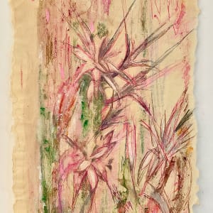 Cactus Pink by Susan Detroy