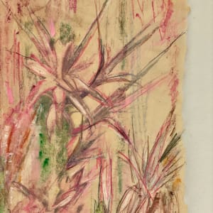 Cactus Pink by Susan Detroy 