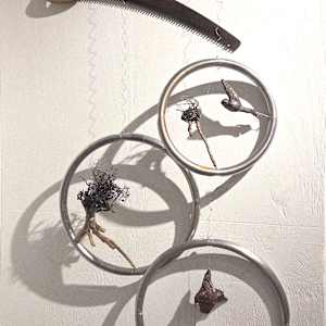 Roots Rings Birds: Reading the Tea Leaves by SP Estes