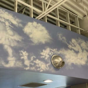 Cloud Forest by Nancy Avalon