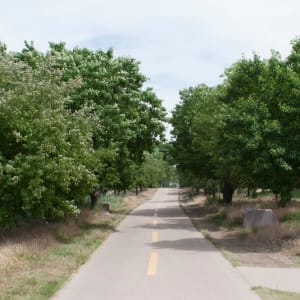 Council Grove by Unknown  Image: Council Grove, long view, 2013