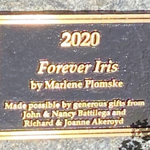 Forever Iris by Marlene Plomske  Image: "Forever Iris" by Marlene Plomske, 2022 (plaque)