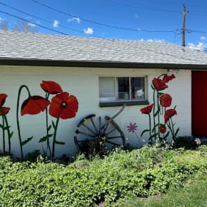 Poppies by Krista Falkenstine  Image: "Poppies" by Krista Falkenstine, 2024; image shows poppies from a straight-on angle