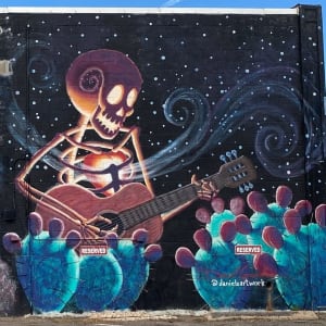 Untitled - skeleton playing guitar near cactus by Daniel Gonzalez