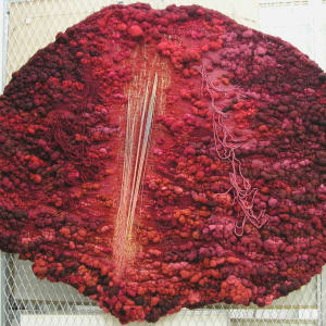 Red Tapestry by Leslie Shearer